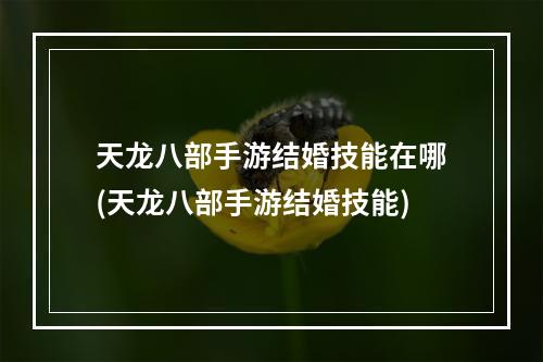 天龙八部手游结婚技能在哪(天龙八部手游结婚技能)