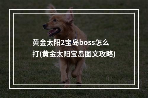 黄金太阳2宝岛boss怎么打(黄金太阳宝岛图文攻略)