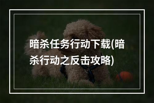 暗杀任务行动下载(暗杀行动之反击攻略)