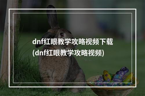 dnf红眼教学攻略视频下载(dnf红眼教学攻略视频)