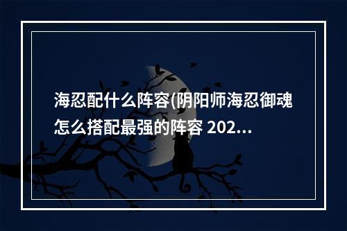 海忍配什么阵容(阴阳师海忍御魂怎么搭配最强的阵容 2022最新海忍御魂搭配)