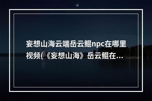 妄想山海云端岳云鲲npc在哪里视频(《妄想山海》岳云鲲在哪里 NPC岳云鲲位置一览 妄想山)