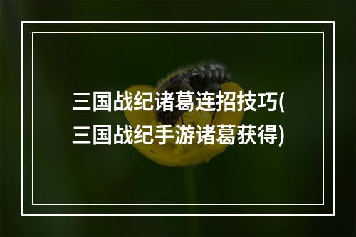 三国战纪诸葛连招技巧(三国战纪手游诸葛获得)