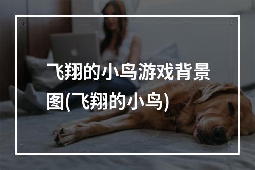 飞翔的小鸟游戏背景图(飞翔的小鸟)