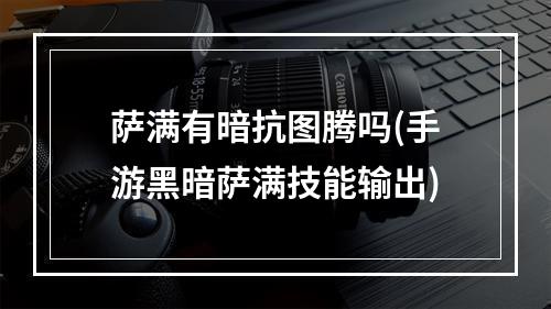 萨满有暗抗图腾吗(手游黑暗萨满技能输出)