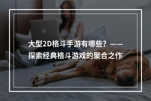 大型2D格斗手游有哪些？——探索经典格斗游戏的聚合之作