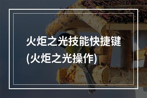 火炬之光技能快捷键(火炬之光操作)