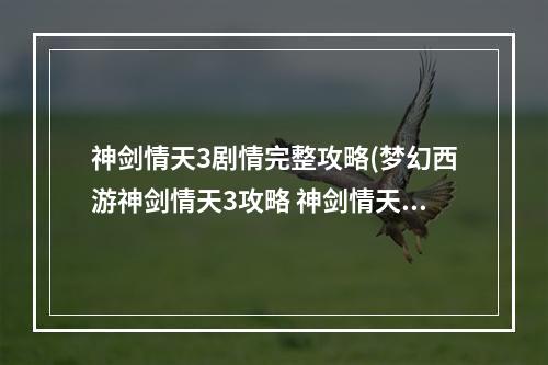 神剑情天3剧情完整攻略(梦幻西游神剑情天3攻略 神剑情天攻略)