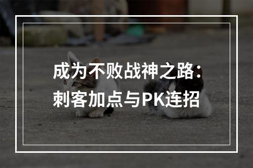 成为不败战神之路：刺客加点与PK连招