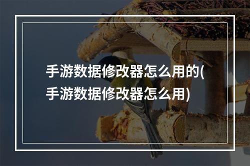 手游数据修改器怎么用的(手游数据修改器怎么用)