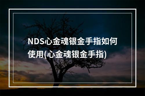 NDS心金魂银金手指如何使用(心金魂银金手指)