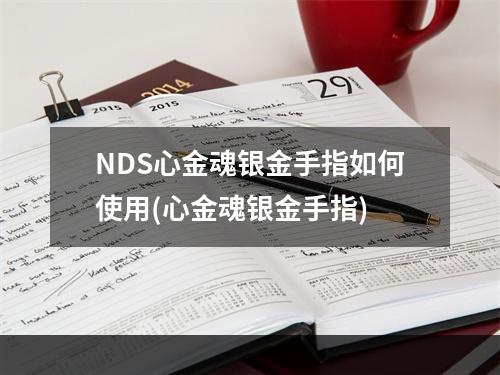 NDS心金魂银金手指如何使用(心金魂银金手指)