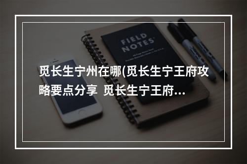 觅长生宁州在哪(觅长生宁王府攻略要点分享  觅长生宁王府任务怎么做)