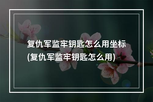 复仇军监牢钥匙怎么用坐标(复仇军监牢钥匙怎么用)