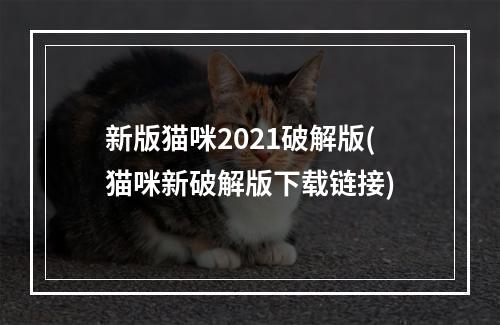 新版猫咪2021破解版(猫咪新破解版下载链接)