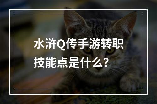 水浒Q传手游转职技能点是什么？