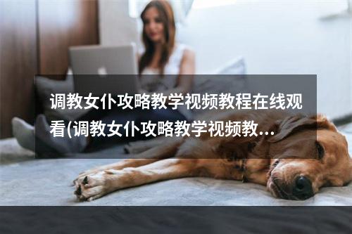 调教女仆攻略教学视频教程在线观看(调教女仆攻略教学视频教程)