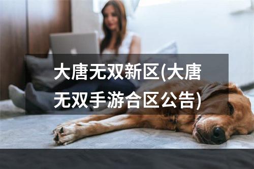 大唐无双新区(大唐无双手游合区公告)