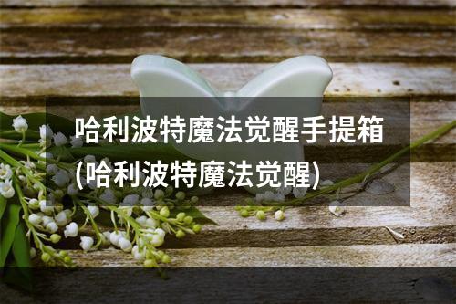 哈利波特魔法觉醒手提箱(哈利波特魔法觉醒)