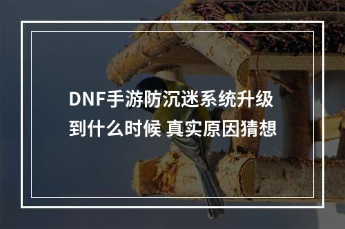 DNF手游防沉迷系统升级到什么时候 真实原因猜想