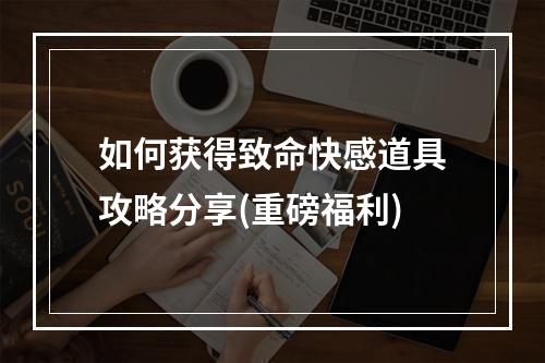 如何获得致命快感道具攻略分享(重磅福利)