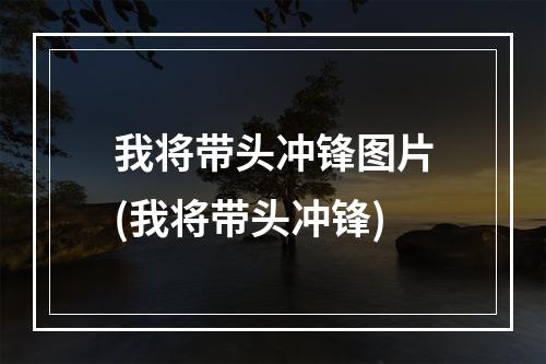 我将带头冲锋图片(我将带头冲锋)