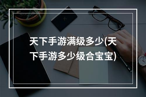 天下手游满级多少(天下手游多少级合宝宝)