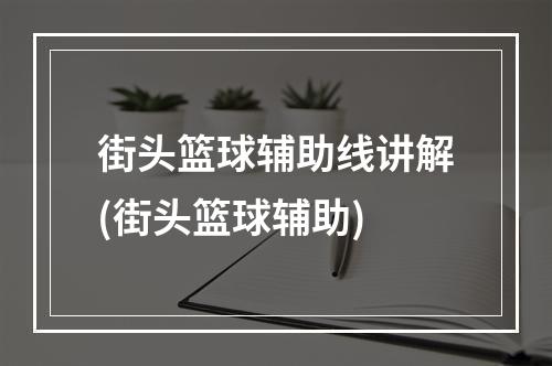 街头篮球辅助线讲解(街头篮球辅助)