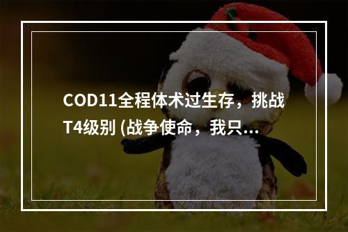 COD11全程体术过生存，挑战T4级别 (战争使命，我只做最强)