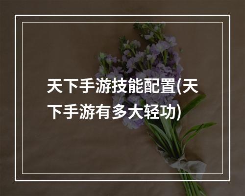 天下手游技能配置(天下手游有多大轻功)