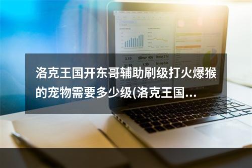 洛克王国开东哥辅助刷级打火爆猴的宠物需要多少级(洛克王国东哥辅助)