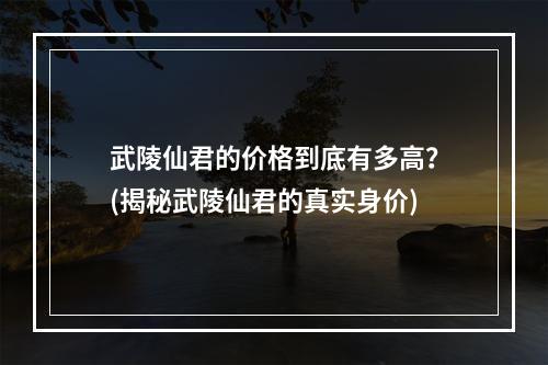 武陵仙君的价格到底有多高？(揭秘武陵仙君的真实身价)