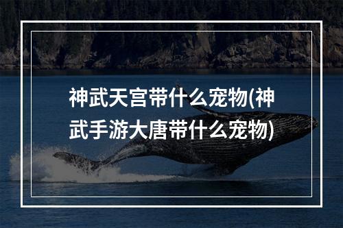 神武天宫带什么宠物(神武手游大唐带什么宠物)