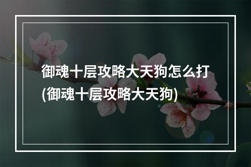 御魂十层攻略大天狗怎么打(御魂十层攻略大天狗)