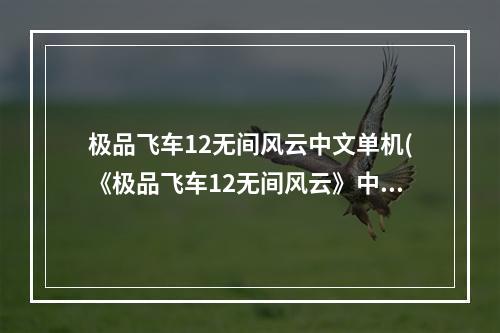 极品飞车12无间风云中文单机(《极品飞车12无间风云》中文版安装cdkey序列号)