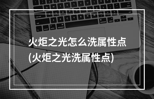 火炬之光怎么洗属性点(火炬之光洗属性点)