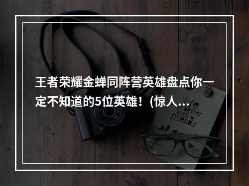 王者荣耀金蝉同阵营英雄盘点你一定不知道的5位英雄！(惊人真相)(金蝉同阵营英雄有哪些？小编为你详细解析选手最爱的5位英雄！)
