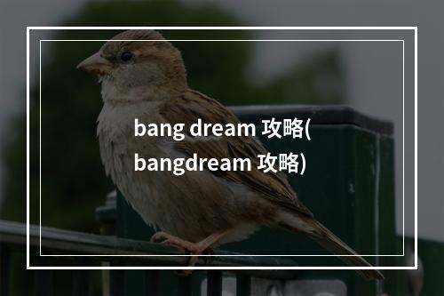 bang dream 攻略(bangdream 攻略)