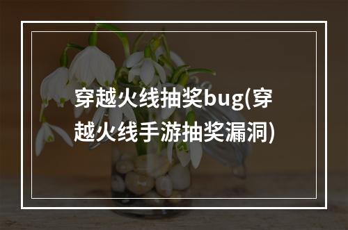 穿越火线抽奖bug(穿越火线手游抽奖漏洞)