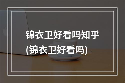 锦衣卫好看吗知乎(锦衣卫好看吗)