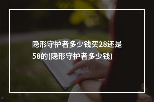 隐形守护者多少钱买28还是58的(隐形守护者多少钱)