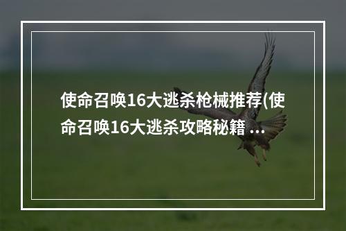 使命召唤16大逃杀枪械推荐(使命召唤16大逃杀攻略秘籍  cod16吃鸡全攻略  cod战区)