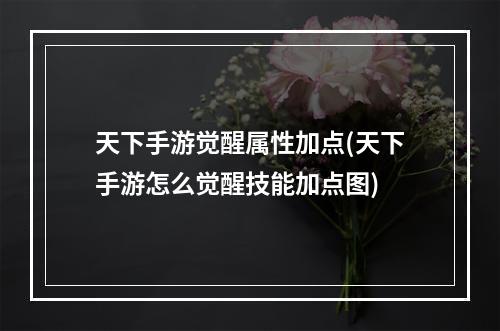 天下手游觉醒属性加点(天下手游怎么觉醒技能加点图)