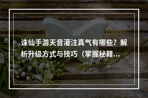 诛仙手游天音灌注真气有哪些？解析升级方式与技巧（掌握秘籍，轻松获得真气）(打造强大角色必备诛仙手游天音灌注真气攻略详解（无需花费多余精力，快速提升实力）)