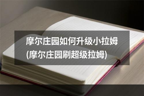 摩尔庄园如何升级小拉姆(摩尔庄园刷超级拉姆)