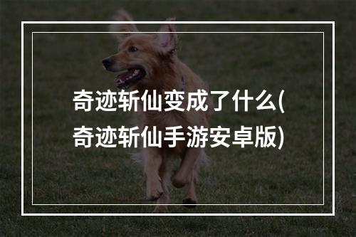 奇迹斩仙变成了什么(奇迹斩仙手游安卓版)