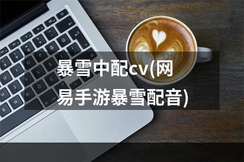 暴雪中配cv(网易手游暴雪配音)