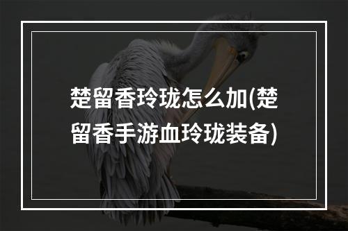 楚留香玲珑怎么加(楚留香手游血玲珑装备)