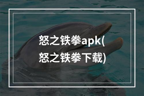 怒之铁拳apk(怒之铁拳下载)