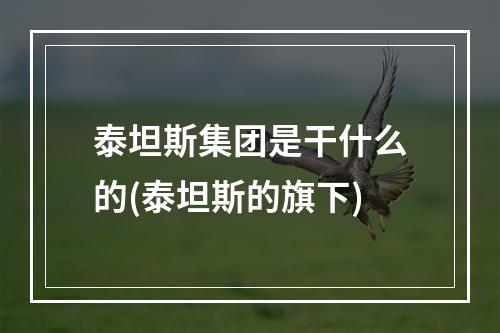 泰坦斯集团是干什么的(泰坦斯的旗下)